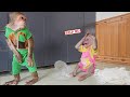 Try not to laugh monkey su smart bribe ku help clean because afraid mom punish