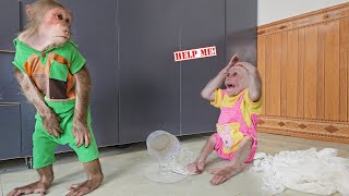 Try not to laugh🤣 Monkey Su smart bribe Ku help clean because afraid mom punish