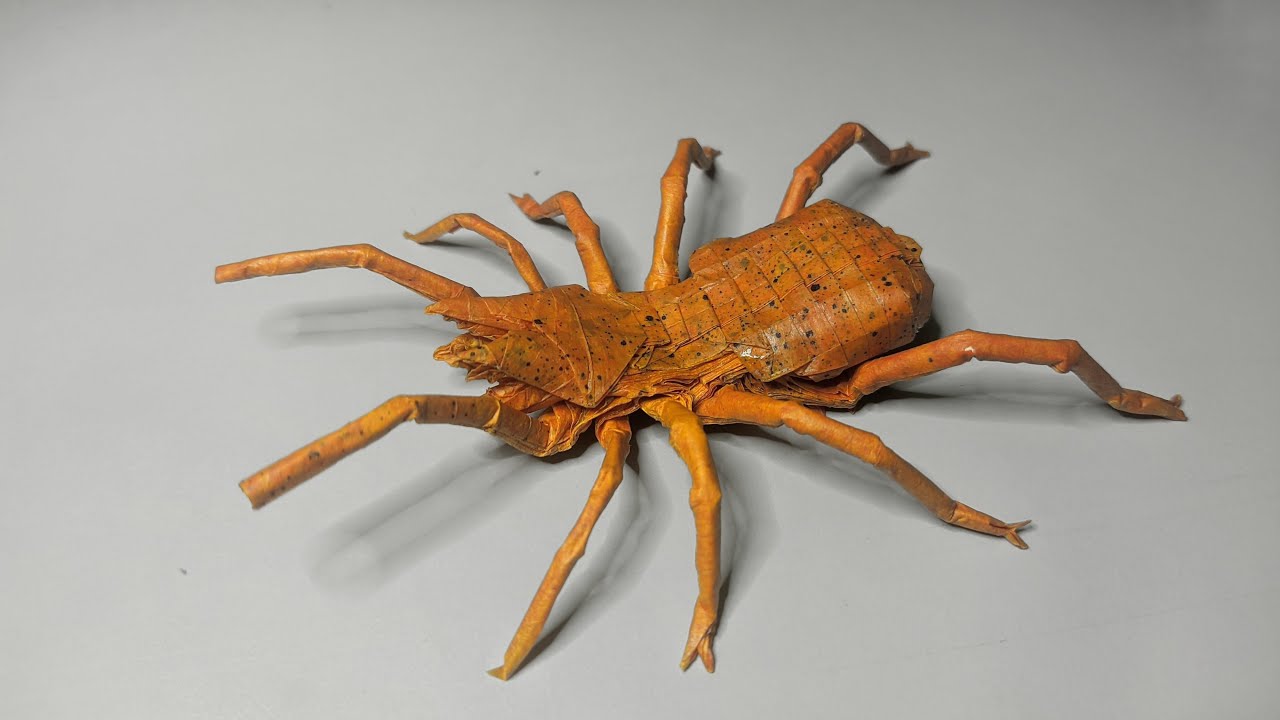 Origami Camel Spider by ZXY - YouTube