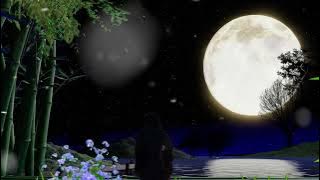 VIDEO BACKGROUND - REMBULAN MALAM / natural scenery background video #backgroundbergerak #animation