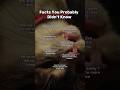 Newmusic Lyrics Fyp Newmusic Lyrics Fyp