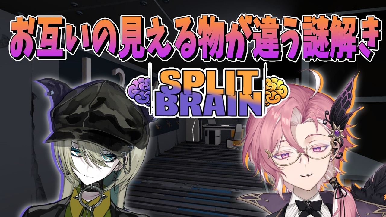 【 #splitbrain 】 お互いの情報伝達能力がものをいう【セアン・ピスカ バディ・カテドラル】