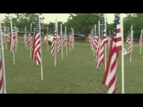 Field of Flags