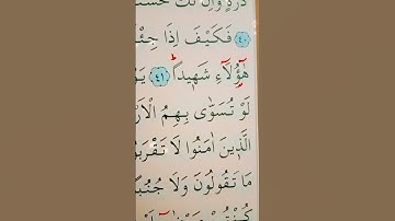 سورة النساء الأية 41 إلى 42 القارئ سعد الغامدي