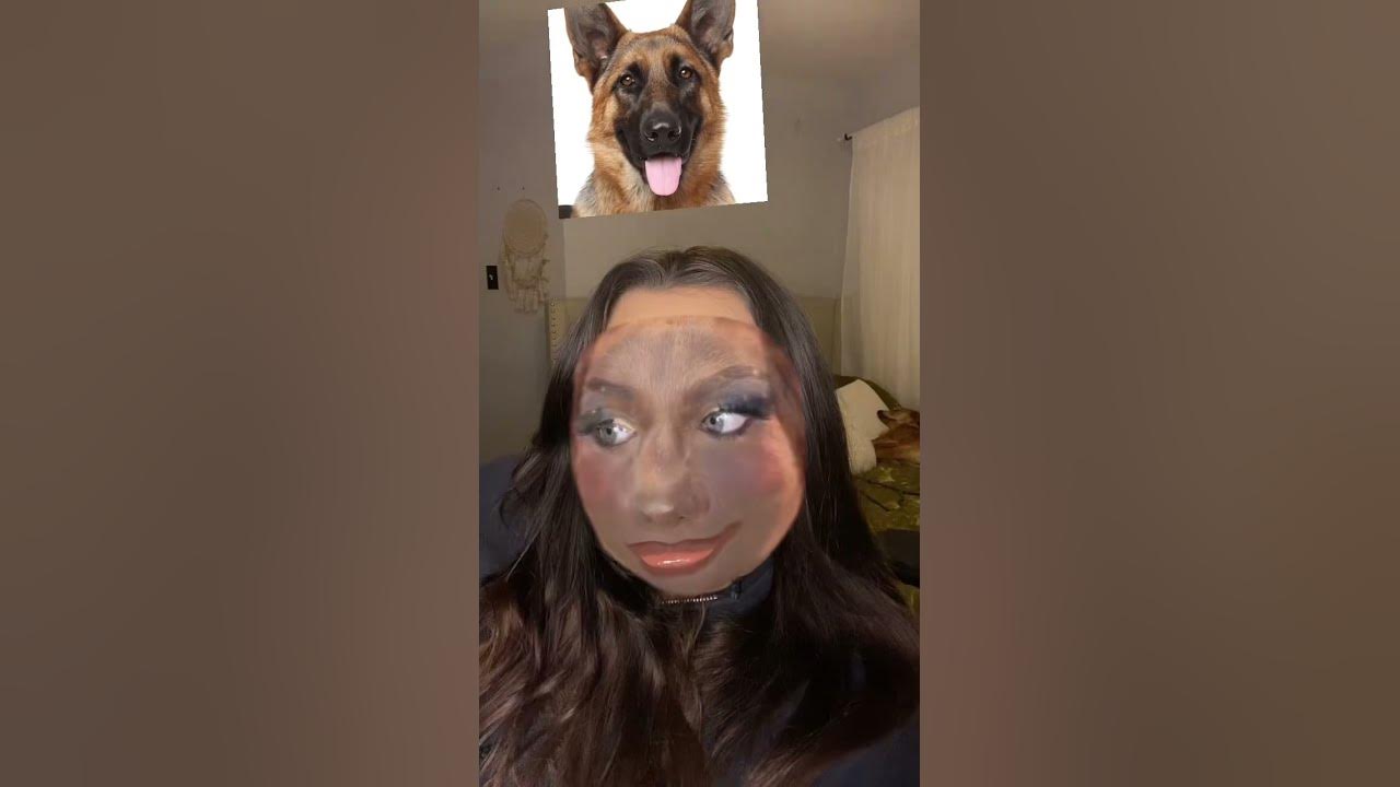 Which kind of dog am i shorts youtube
