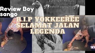 RIP YOKKEEREE ,REVIEW BOY SANGO FARM