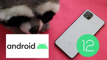 Android 12 Beta 1 on the Pixel 4 XL! - Battery Life and Performance!