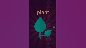 How to make a grim reaper in little alchemy 2