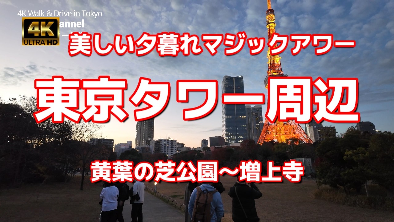 【街ブラ4K】【東京タワー周辺を歩く～美しい夕暮れマジックアワーの時間帯～芝公園や増上寺から見るライトアップされた東京タワー】【紅葉が美しい ...