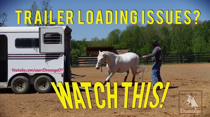 Teach your horse to SELF LOAD on the trailer!