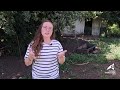 Partie 2 🥚🐓🎥 Réglementation de la commercialisation des œufs -