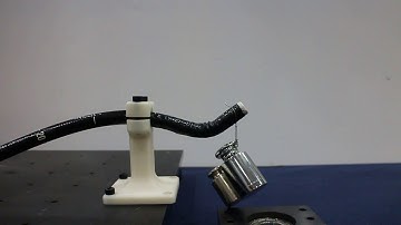 Lifting 300g Payload of Conventional Endoscope