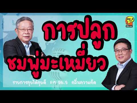 การปลูกชมพู่มะเหมี่ยว