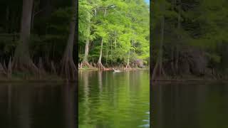 Fall Paddling At Gilchrist Blue Springs On The Santa Fe River - Crystal Clear Views And Kayaks