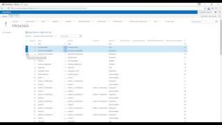 Metadata definition