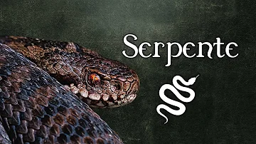 Cosa significa se vedi un serpente?