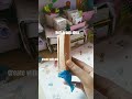 diy holi prank idea #holi #diy #prank #shorts #createwithme25