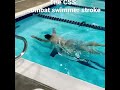 My first youtube short demonstrates the combat swimmer stroke