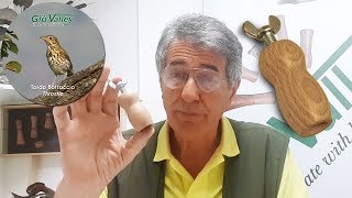 RIchiamo per tordo bottaccio Giovalley Video