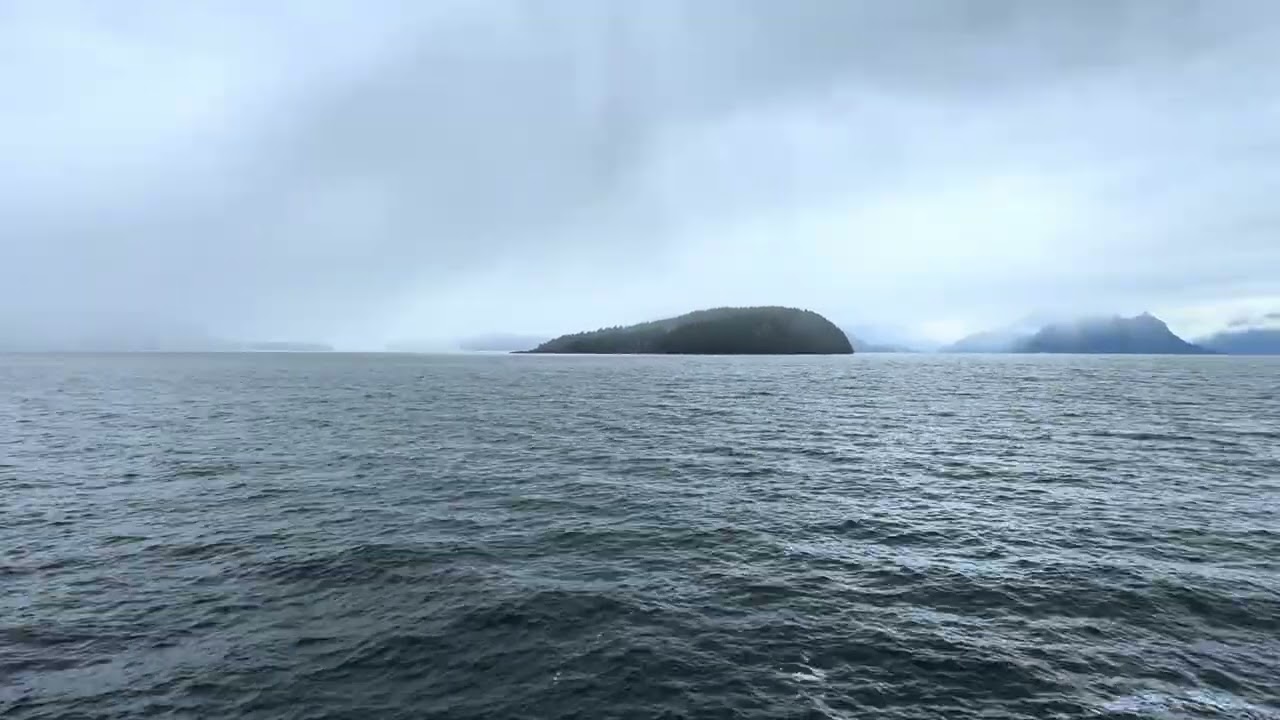 Enjoy Your Daily Coffee With Vahid & Eagles🦅 🦅 ☕️🌿 | Ocean View 🌊🦅 Cheers 😊☕️