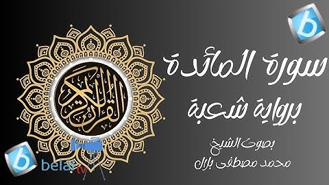 سورة المائدة برواية شعبة بن عياش للشيخ محمد مصطفى بلال