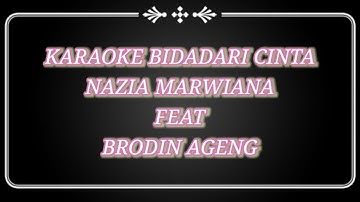 karaoke Bidadari Cinta-Nazia Marwiana feat Brodin Ageng
