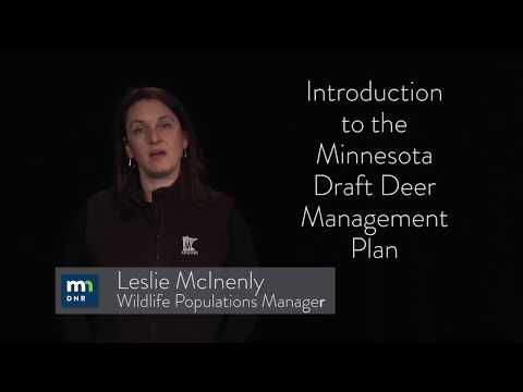Introduction to the Minnesota Draft Deer Management Plan