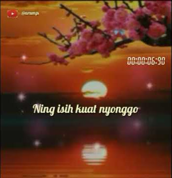 Story  30 detik ' Tatu ' [ Arda - Didi Kempot ]