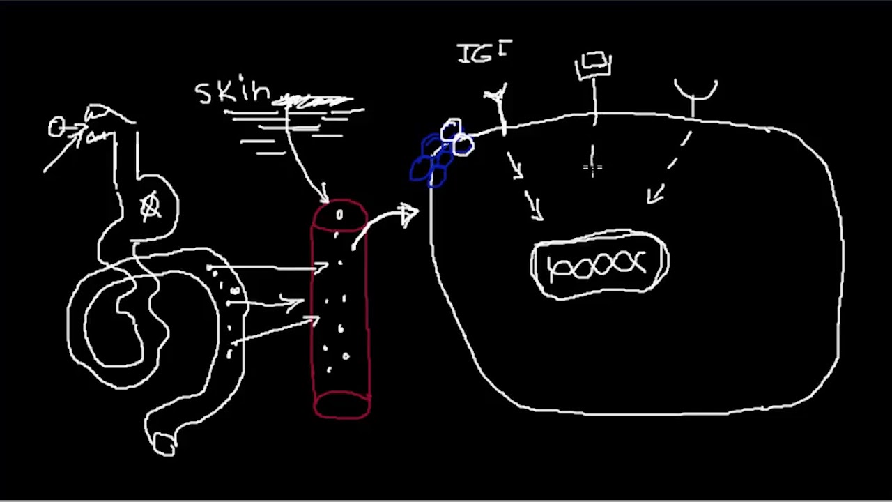 What Can Cause Breast Cancer Modern Understanding YouTube