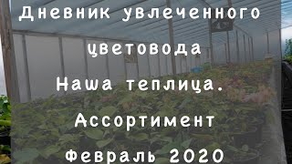 Наша теплица. Ассортимент. Февраль 2020