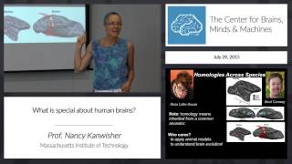 Prof. Nancy Kanwisher - What's special about human brains?