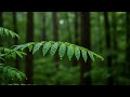 단 한 번으로 머리가 맑아지는 기적의 힐링음악 🌿 두뇌 활성화 &amp; 스트레스 완화