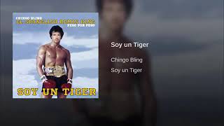 CHINGO BLING "SOY UN TIGER" PARODY