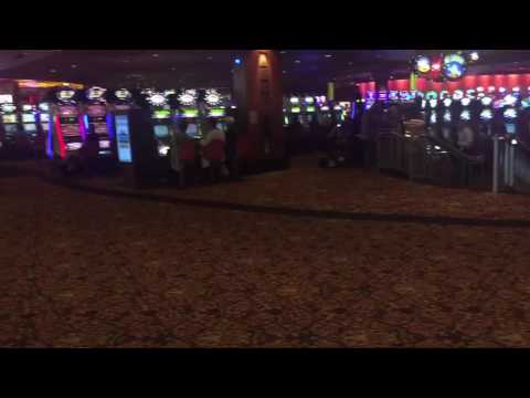 vamos rey pescador #shorts #slots #casino #kick