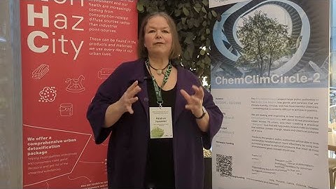 Green Governance Day 2025. Insights