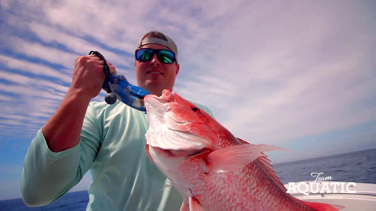 Specialty Deep Sea Fishing Trips out of Panama City Beach YouTube