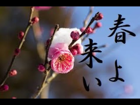 2021音友会企画【春の音友祭】春よ、来い　松任谷由実/カバー fe.taecoの癒しピアノちゃんねる
