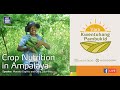 Crop Nutrition in Ampalaya