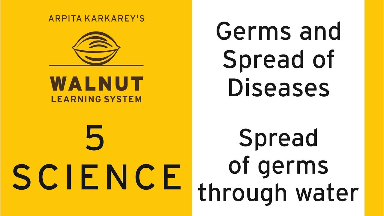 5 Scinece - Germs and Spread of Diseases - Spread of germs through water