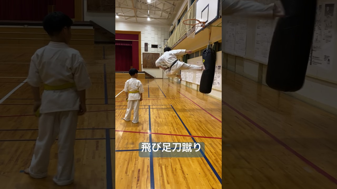 琉球空手道飛び足刀蹴?#空手道 #空手#琉球空手#沖縄古武術#飛び蹴り 