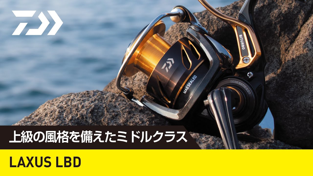 Daiwa 19 Laxus 3000-LBD From Japan 