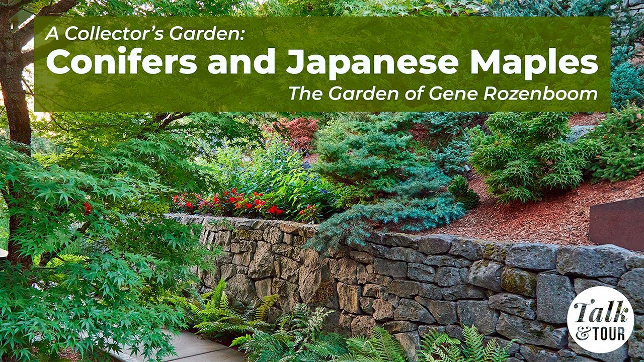 A video about Gene Rozenboom's back yard garden during a talk and tour by Garden Gate Magazine
