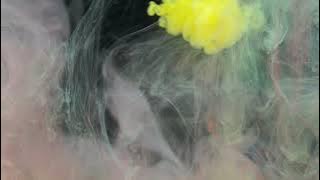 ROUDS   Shiver EXTENDED HD