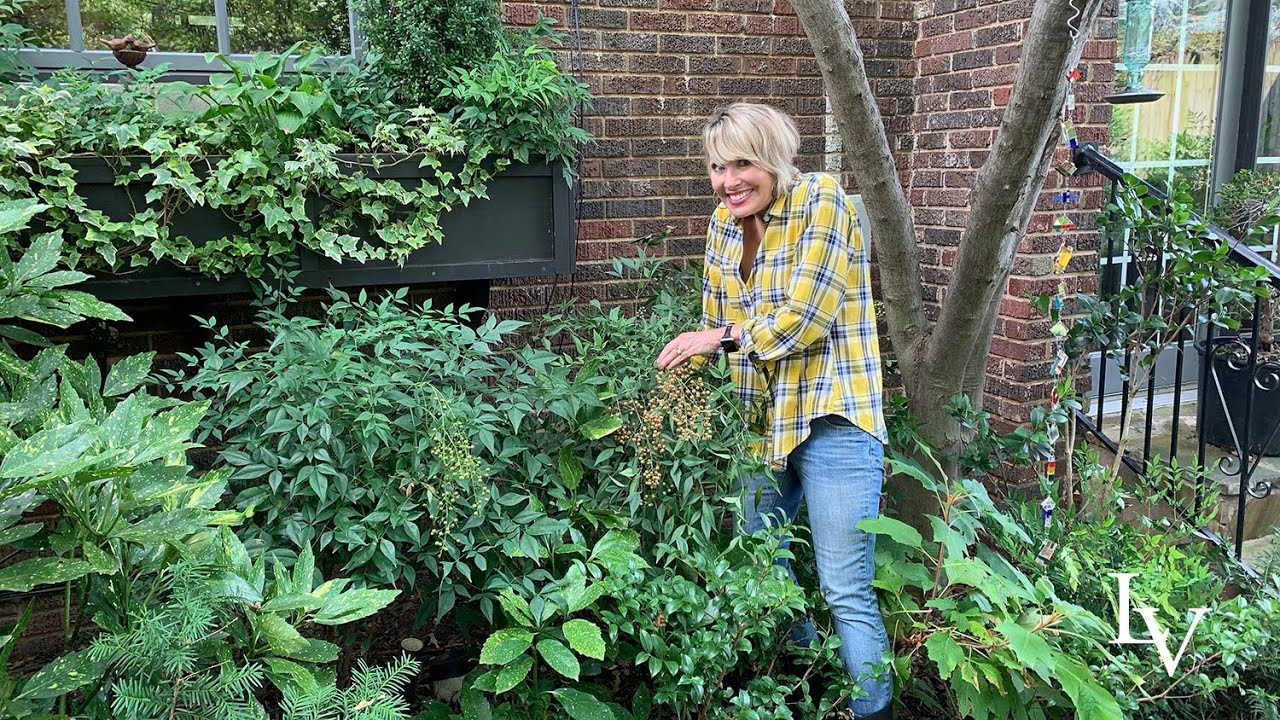 Shade Loving Shrubs 🌳 and a Secret Hack 🤫 !