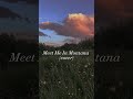 &quot;Meet Me In Montana&quot; / Dan Seals &amp; Marie Osmond (cover)