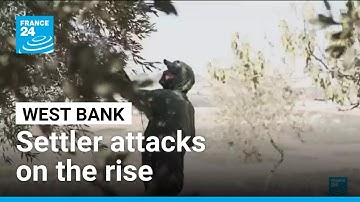 Settler attacks on the the West Bank reach highest level since 2006, says the UN • FRANCE 24