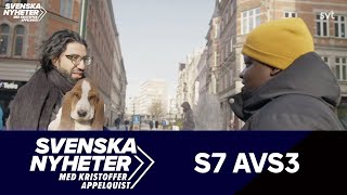 Svenska nyheter - Jofi och Petrina om bilden av Malmö