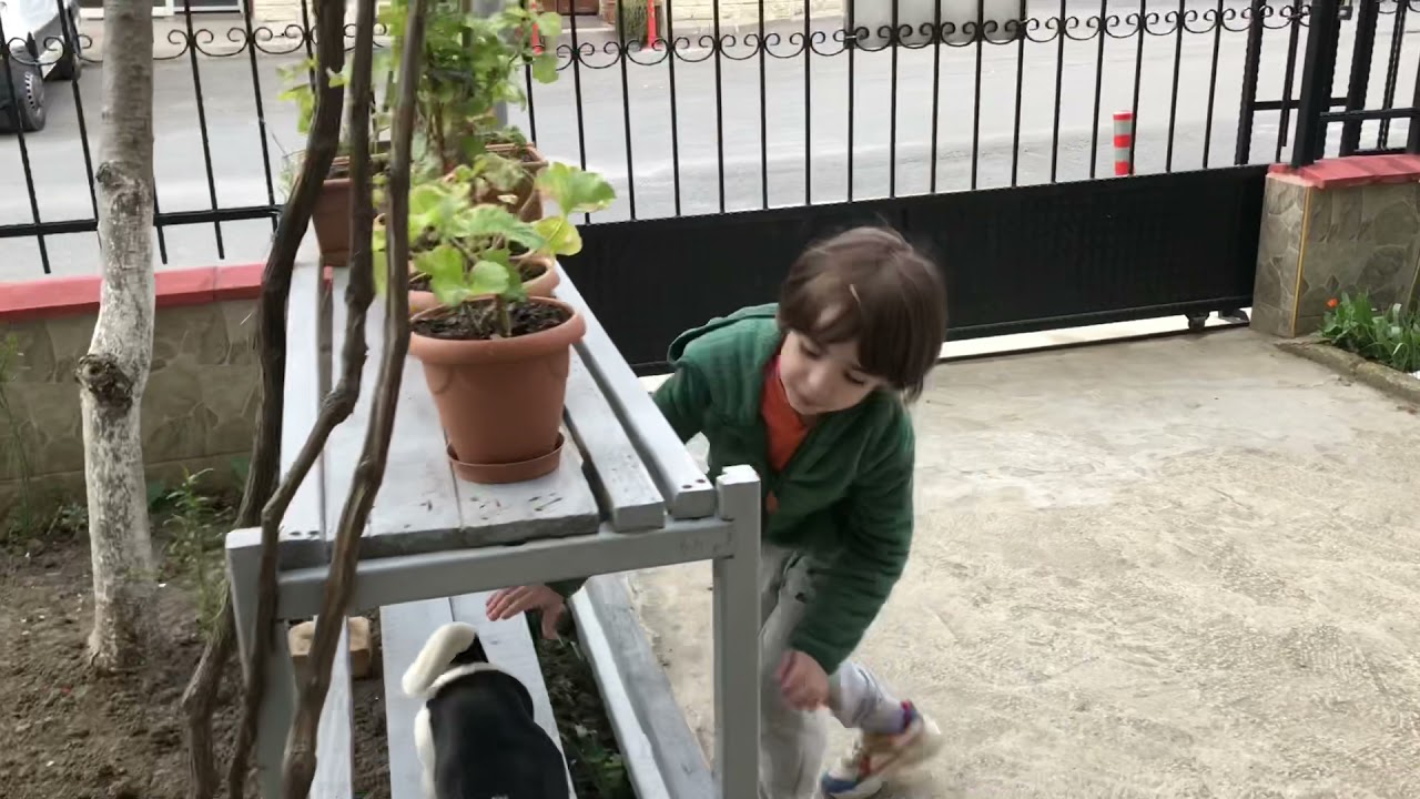 Can Zorlu Parkurda Yaralandı eline kıymık battı - Eğlenceli Çocuk Videosu