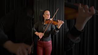 Sarcastic Violin Dictionary🎻 “Audition” #violinist #musicianhumor #classicalmusician #bowrebellion