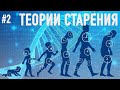 ТЕОРИИ СТАРЕНИЯ - о чем говорит наука? Здравый смысл (!) 2-я часть